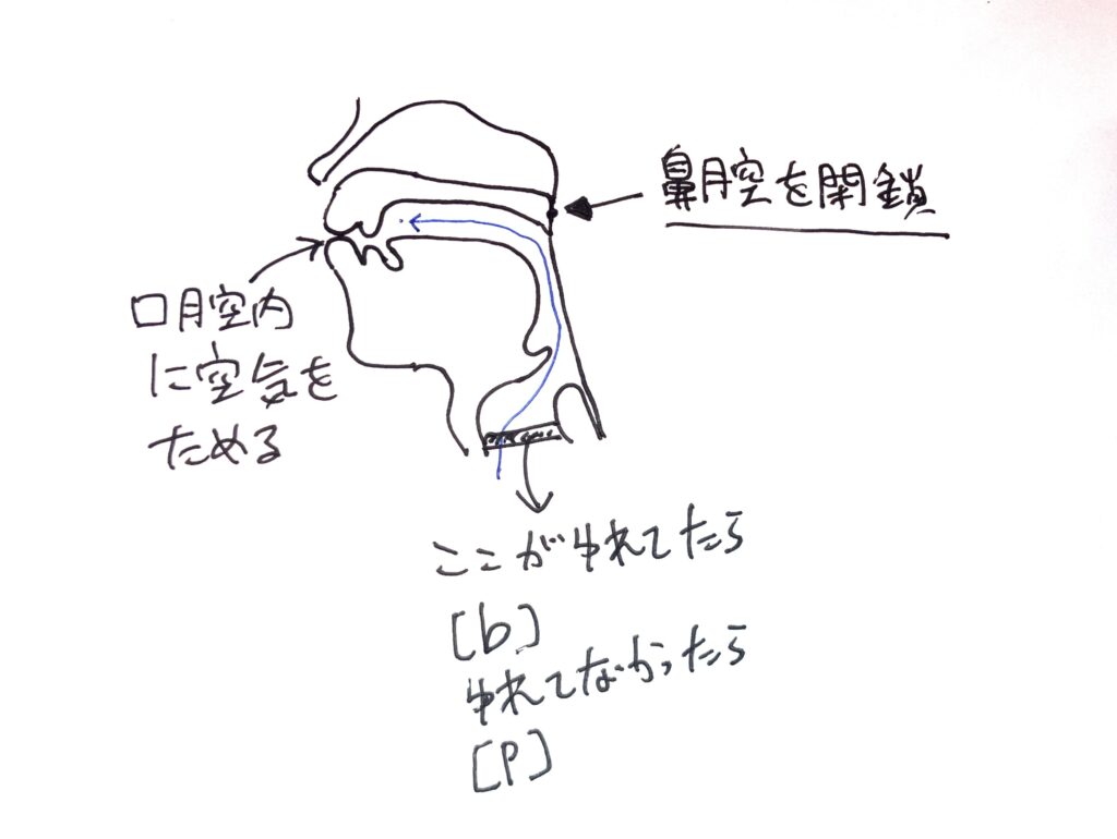 pbの発音図解 | 村鉄堂のHP